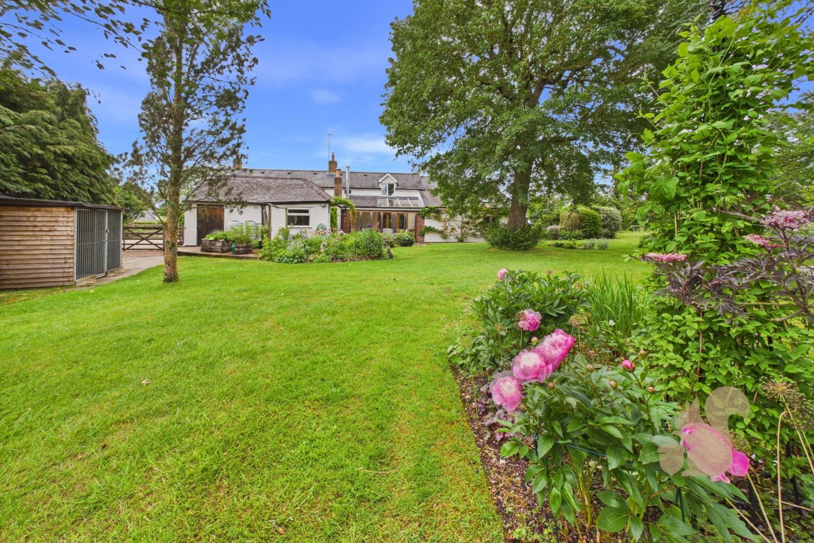 Rear Of Property